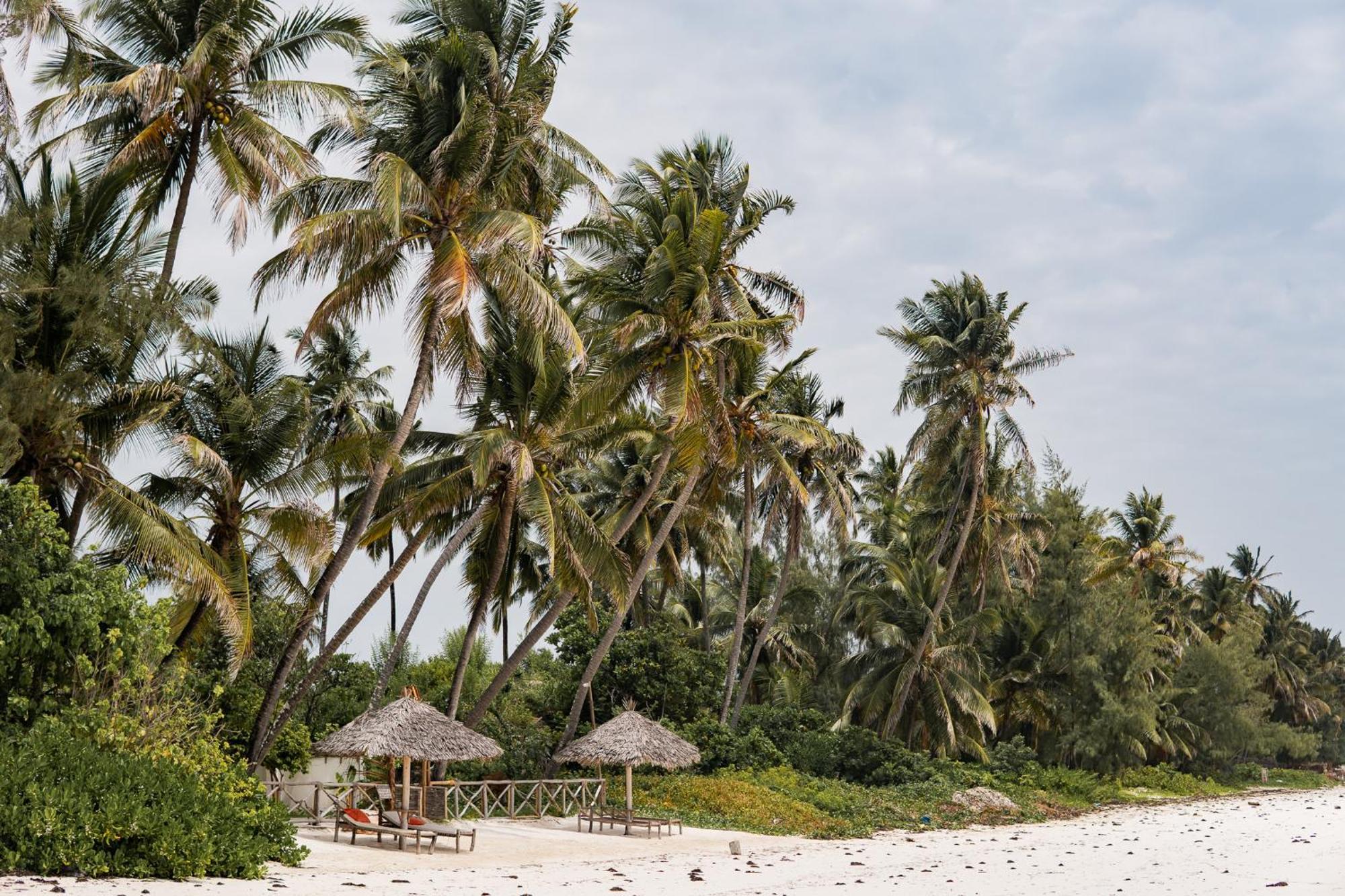 Kima Serviced Beach House & Suites Bwejuu Exterior photo